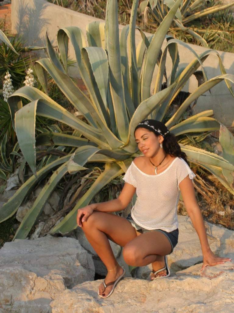 Photo de Florette
